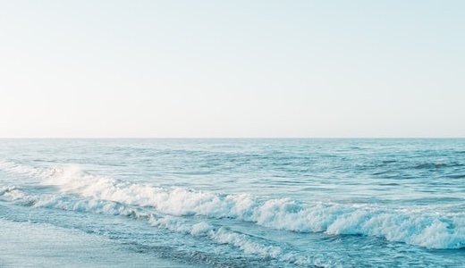 vol.114 大学教職員のためのSDGs